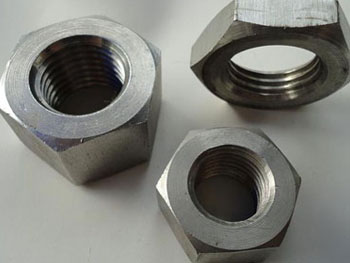 Monel K500 Nuts Monel K500 Nuts